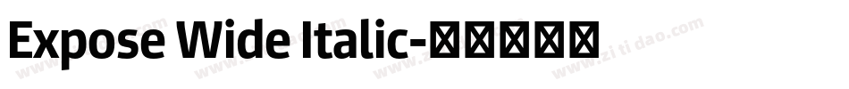 Expose Wide Italic字体转换